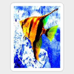 Angelfish Sticker